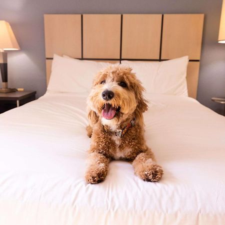 Sonesta Simply Suites Phoenix Glendale Екстер'єр фото